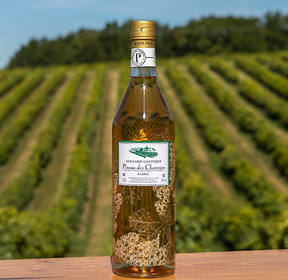 Pineau des Charentes blanc Bernard Gauthier - 051